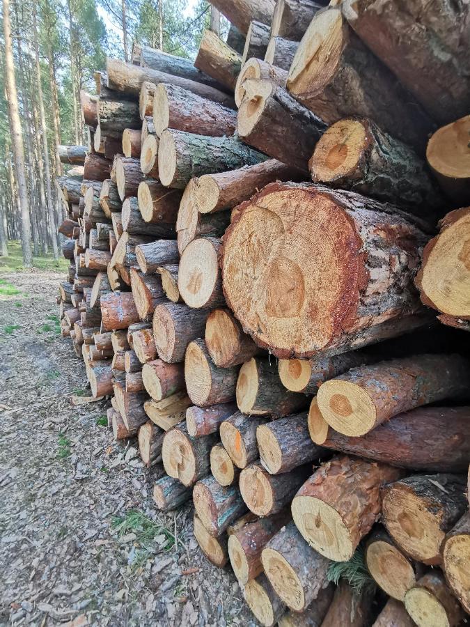 Appartamento M&k Morska Fala, - Wyspa Sobieszewska *
